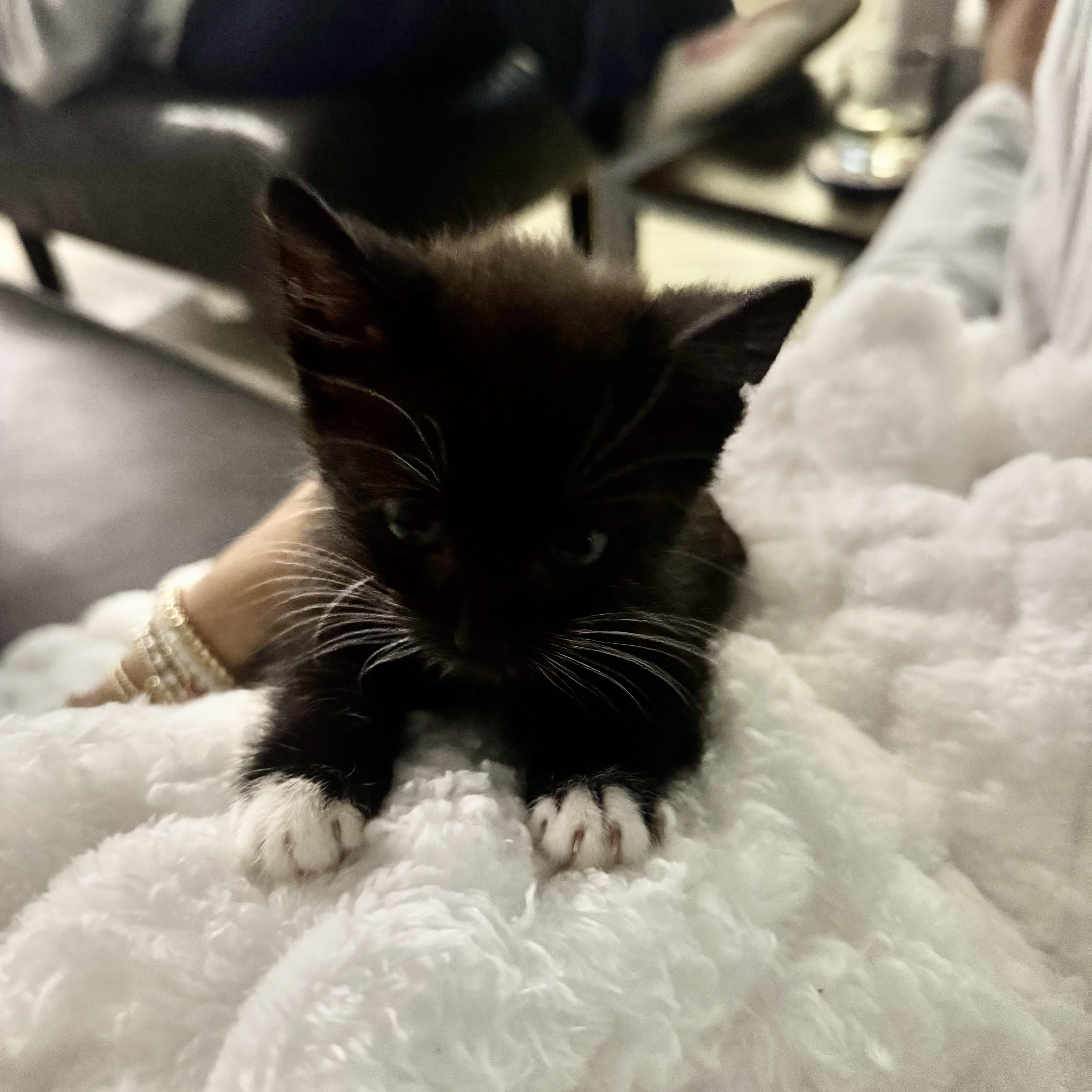 Thumbtack thumbnail 5