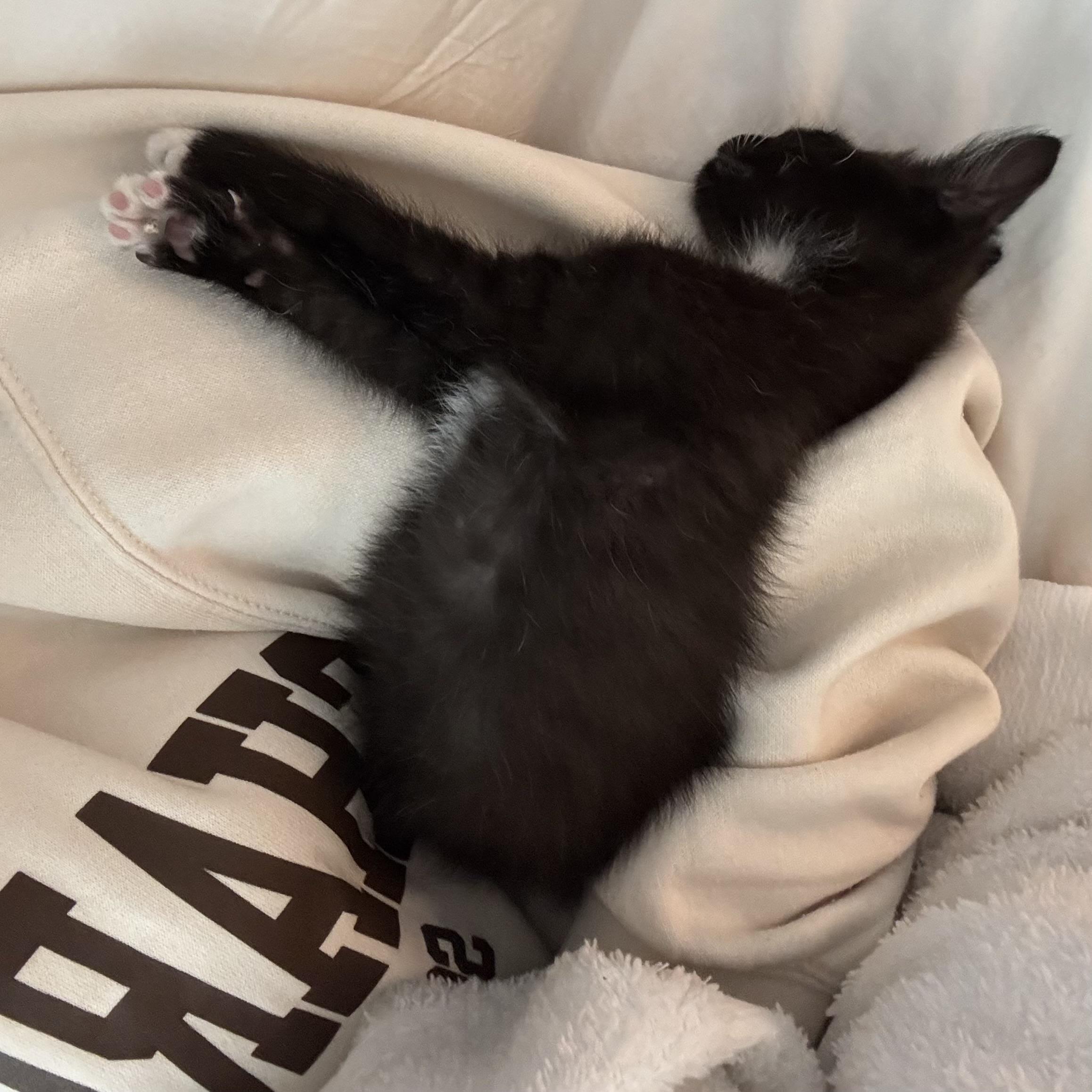 Thumbtack thumbnail 2