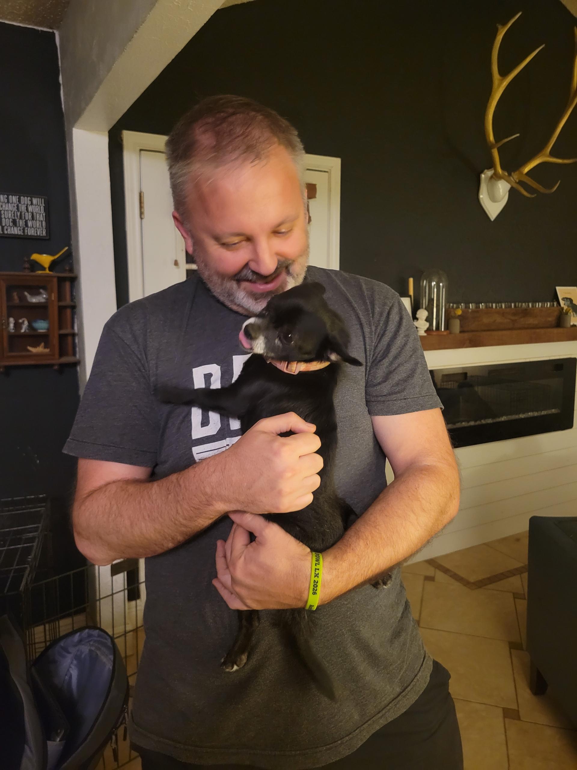 Enlarge Champ , an adopted Chihuahua in Austin, TX image 3/6