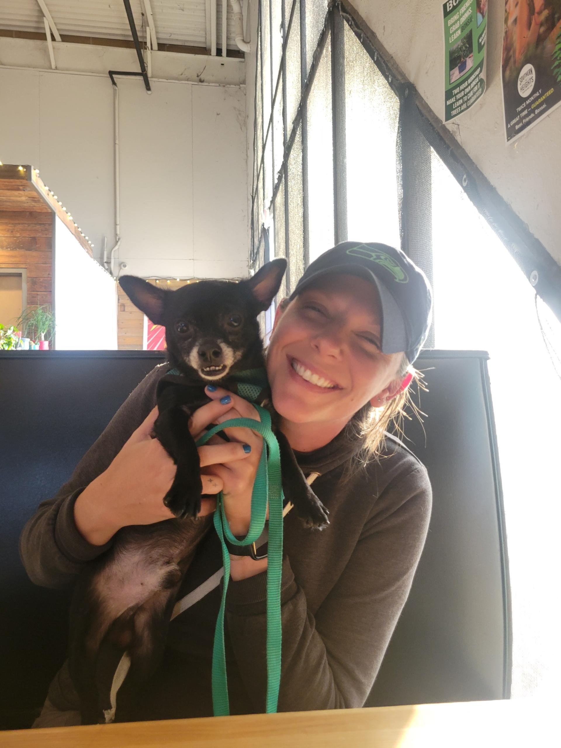 Enlarge Champ , an adopted Chihuahua in Austin, TX image 2/6