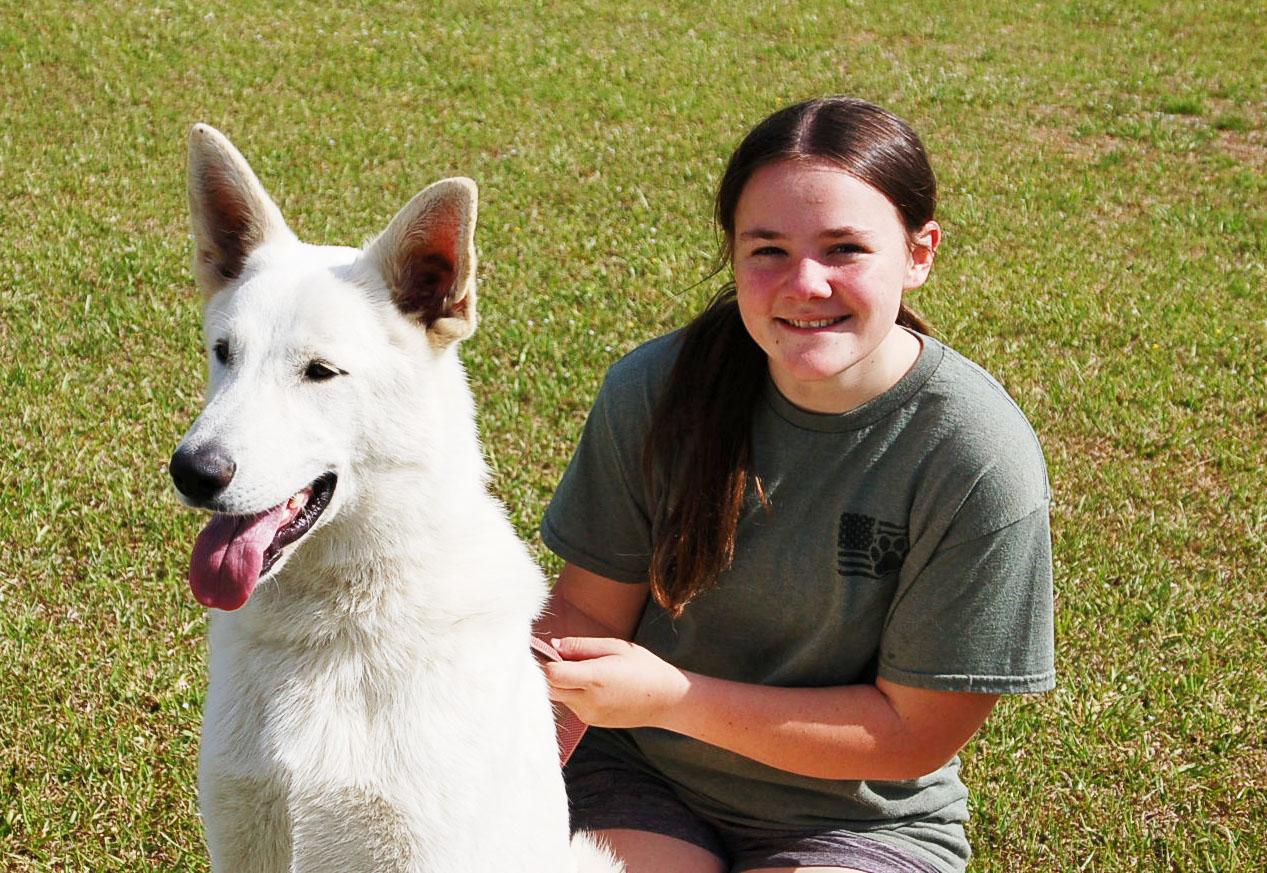Enlarge MILLO, a ADOPTABLE German Shepherd Dog in Preston, CT image 3/6