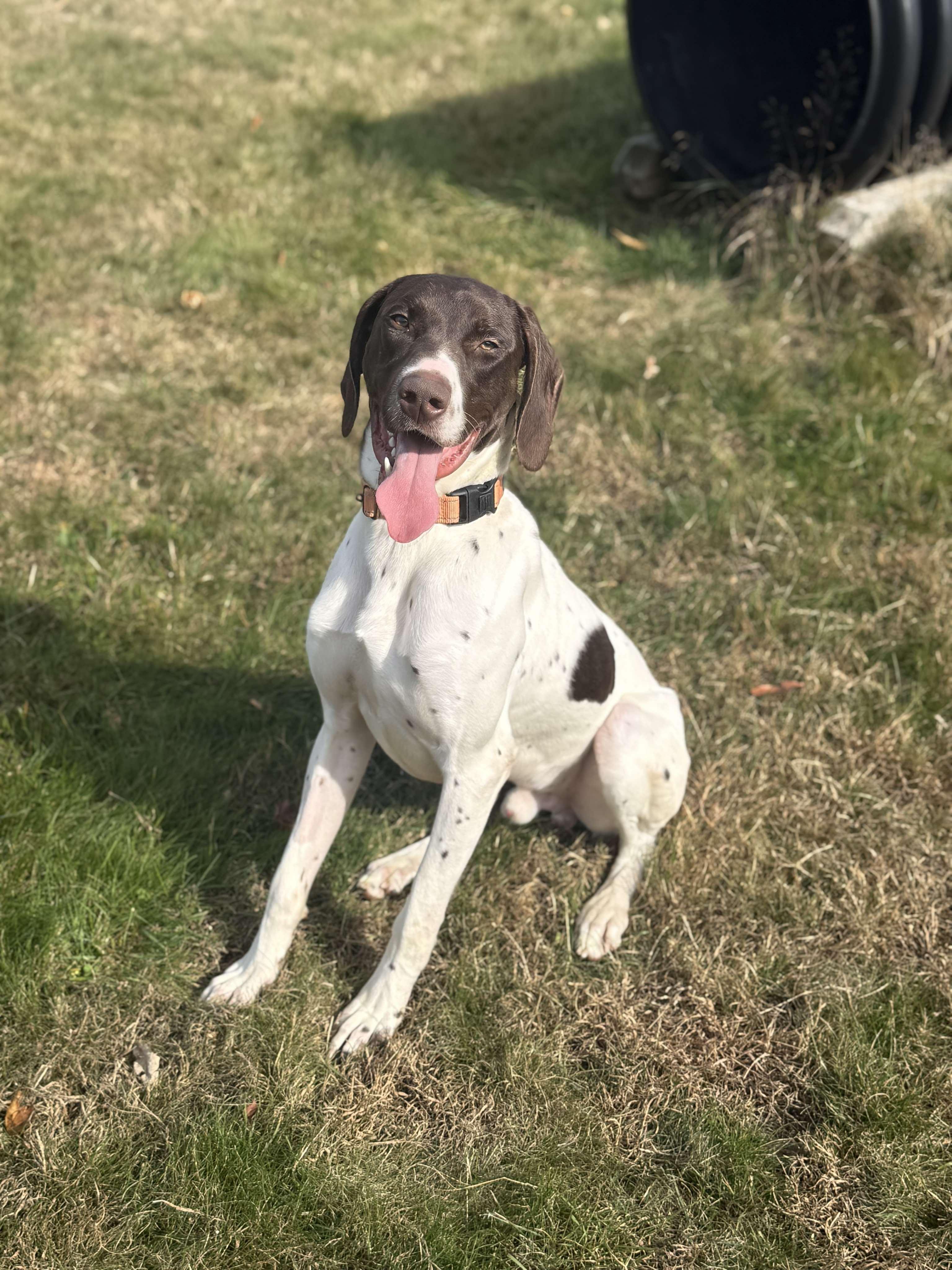 Tucker