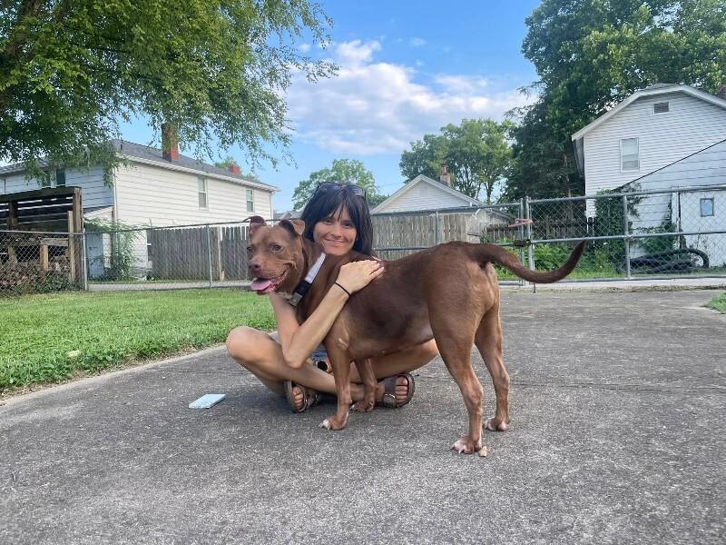 Fawn, a Adoptable Mixed Breed in Miamitown, OH image 4/5