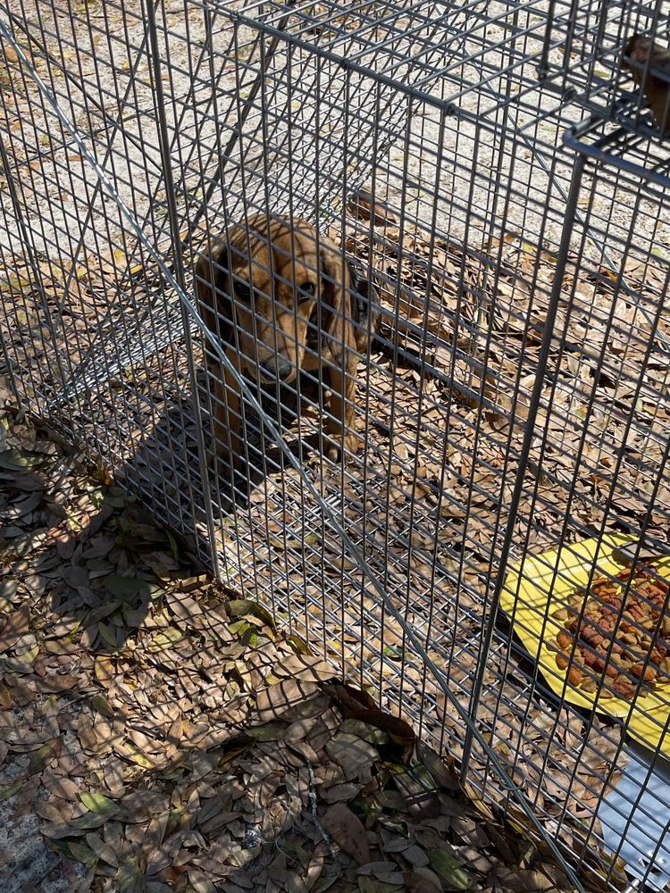 Bailey — thumbnail 5