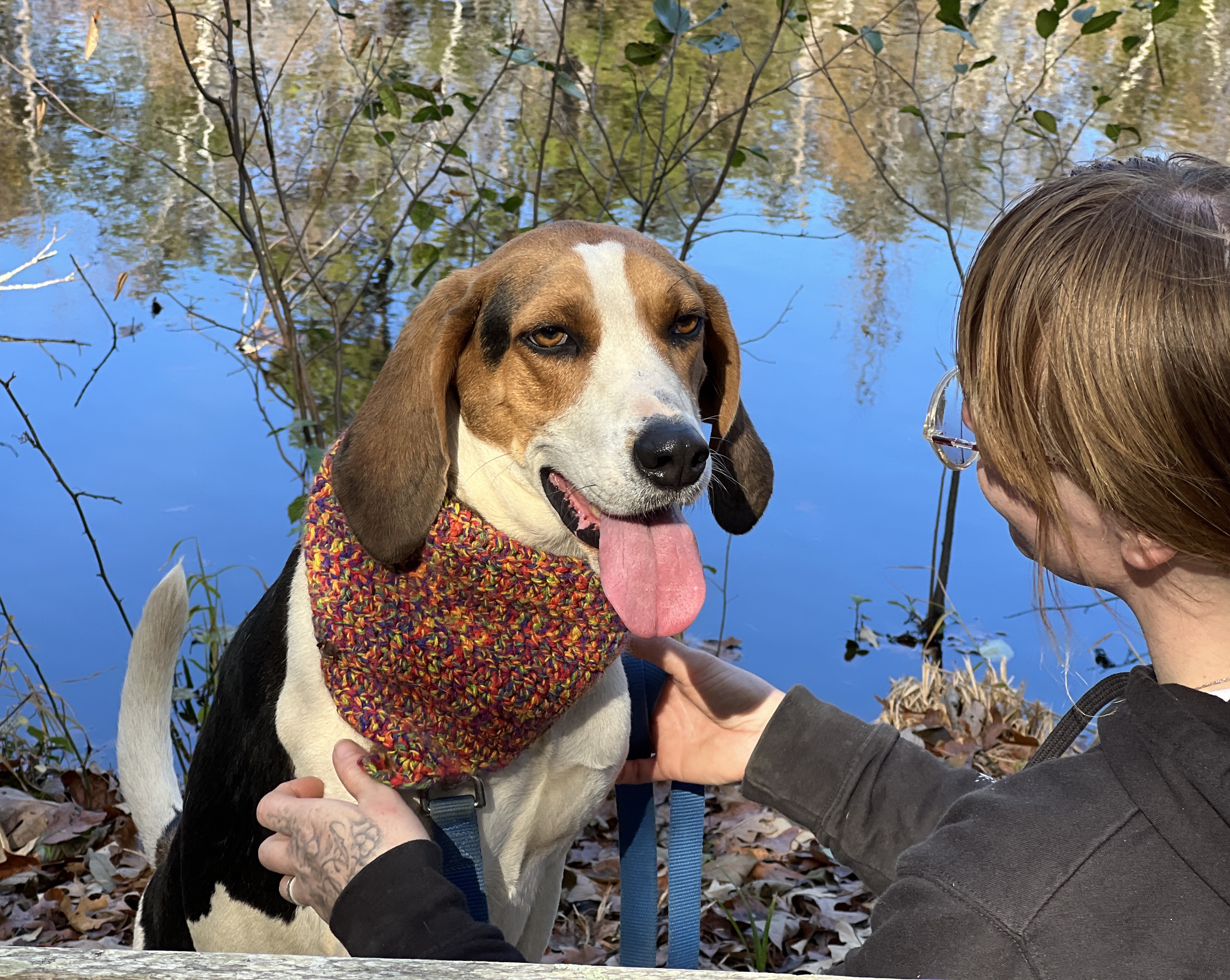 Tripp — thumbnail 3