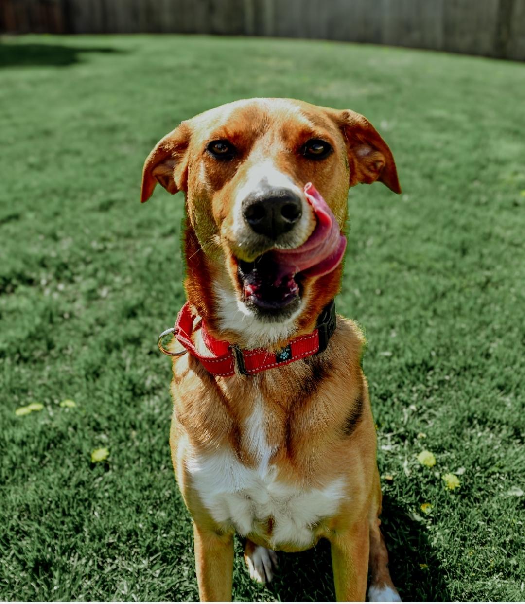 Ruby