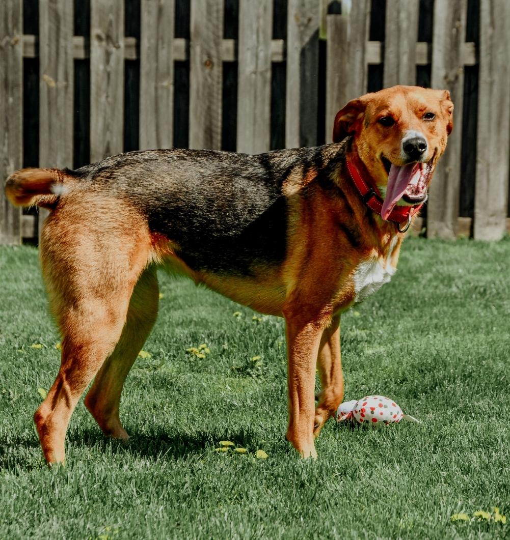 Ruby photo 5