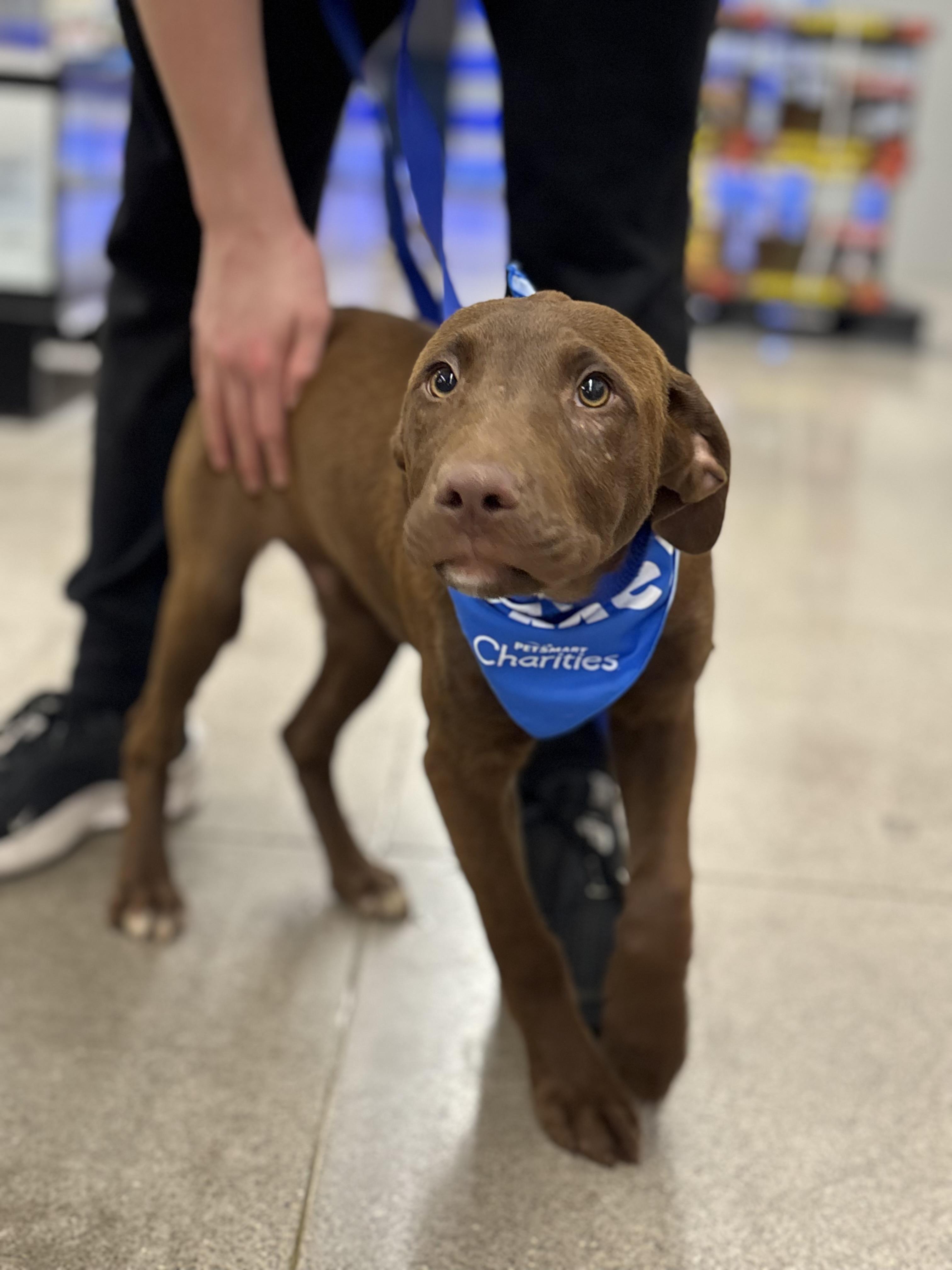 Jiffy — thumbnail 3