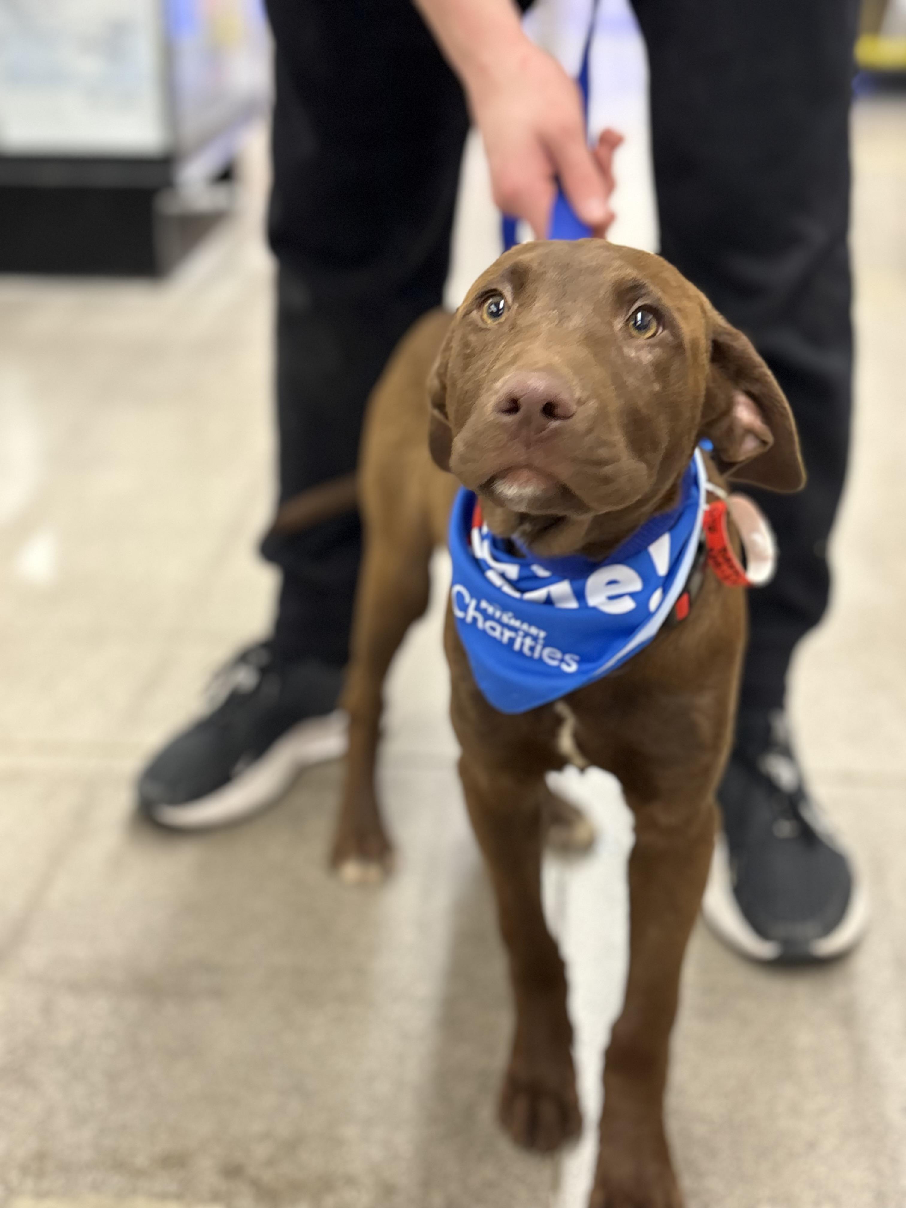 Jiffy — thumbnail 4