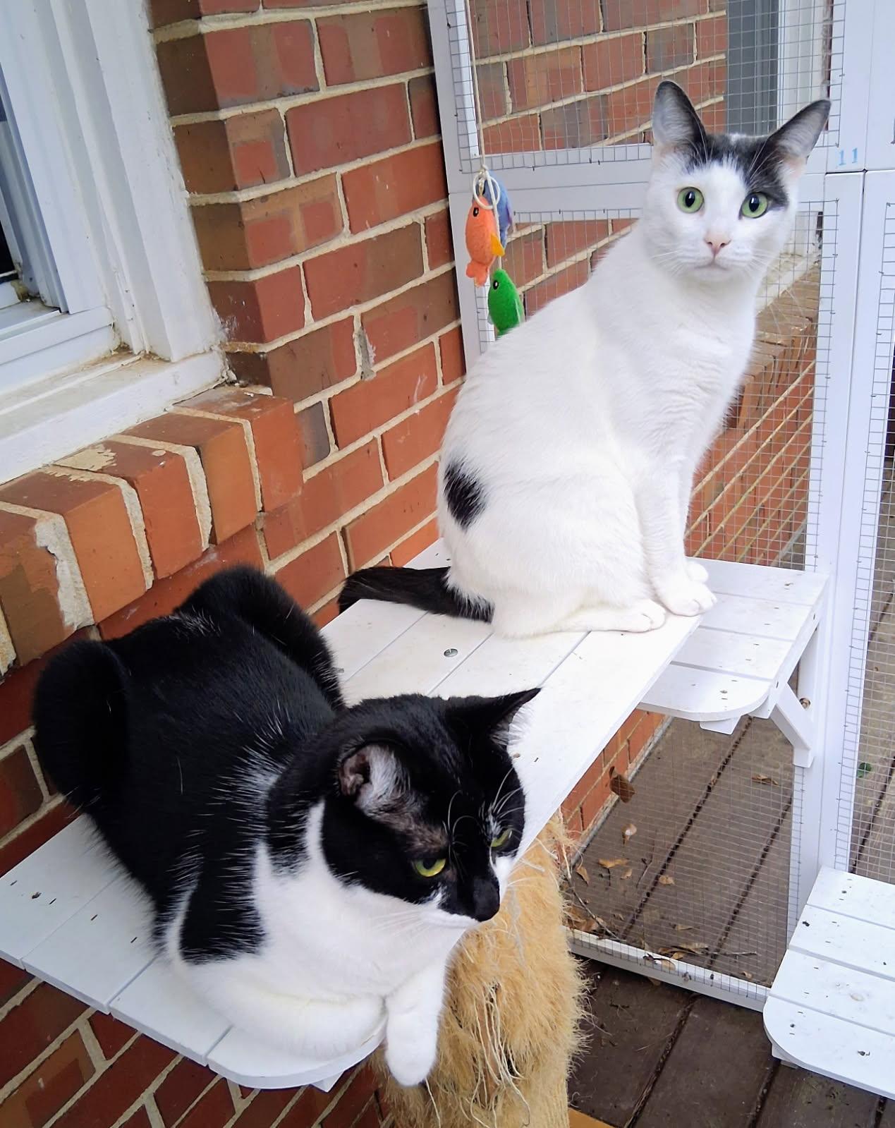Bruce and Lee