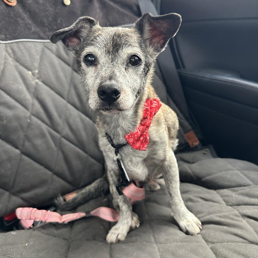 Ken Cosgrove — thumbnail 2