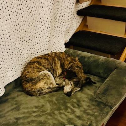 Ken Cosgrove — thumbnail 3