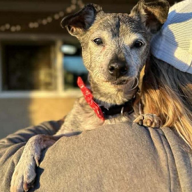 Ken Cosgrove — thumbnail 4