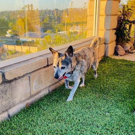 Ken Cosgrove — thumbnail 6