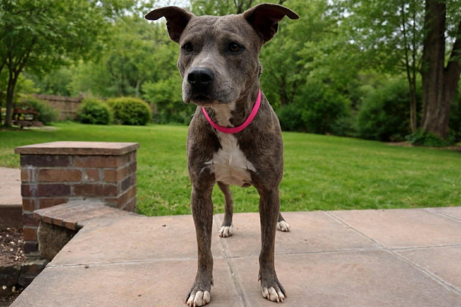 Nayeli — thumbnail 3