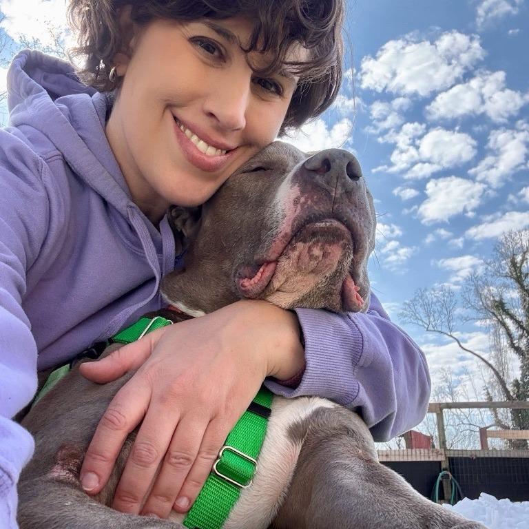 Enlarge Trunk, a Adoptable Pit Bull Terrier in Baltimore, MD image 3/6