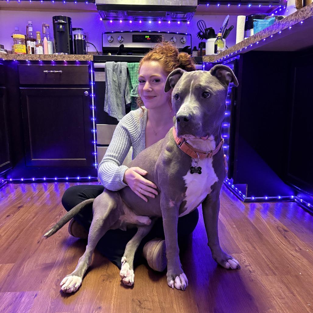 Enlarge Trunk, a Adoptable Pit Bull Terrier in Baltimore, MD image 5/6