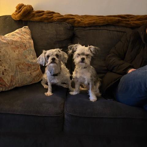 Coco Puffs thumbnail 3