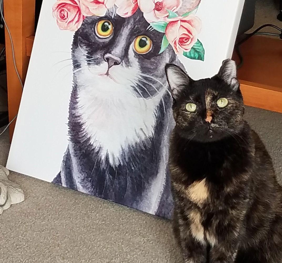 Enlarge Princess #loves-to-be-hugged-and-kissed, a Adopted mixed breed in Houston, TX image 3/3