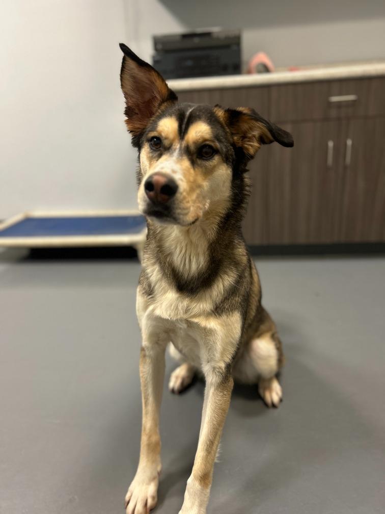 Trip — thumbnail 2