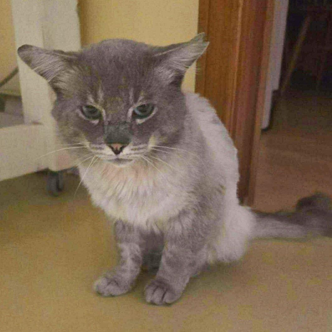 Tom