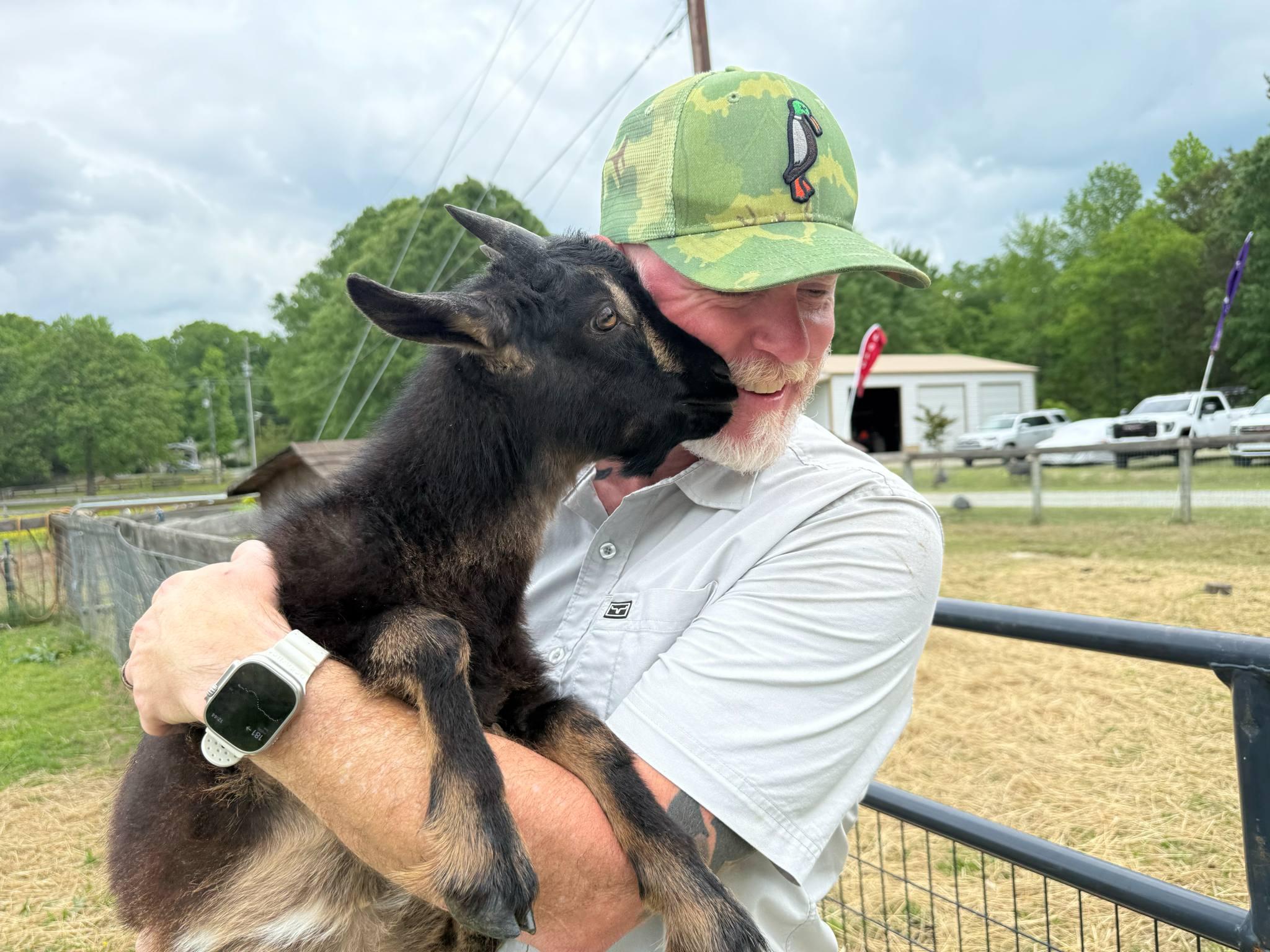Enlarge Snickerdoodle, a Adopted mixed breed in Durham, NC image 2/5