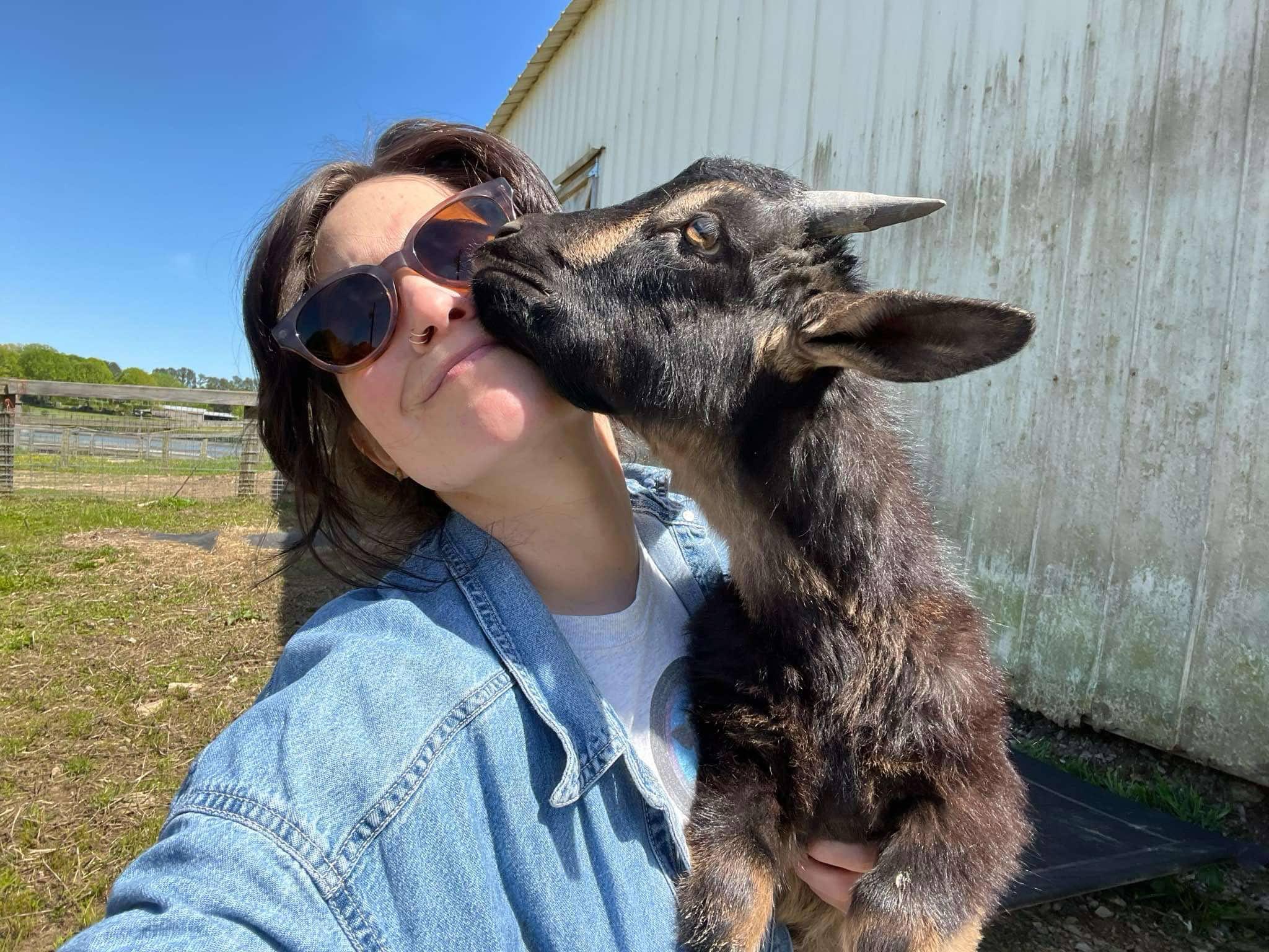 Enlarge Snickerdoodle, a Adopted mixed breed in Durham, NC image 3/5