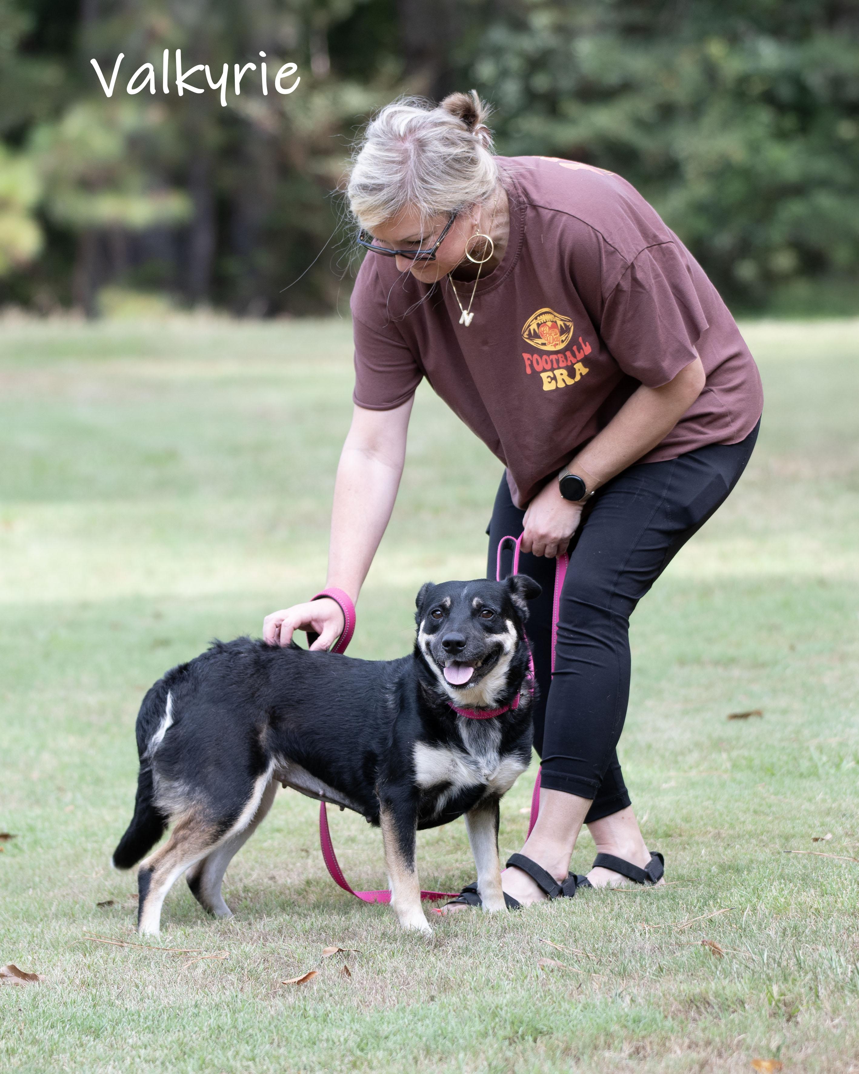 Enlarge Valkyrie, a ADOPTABLE mixed breed in Bishop, GA image 4/6