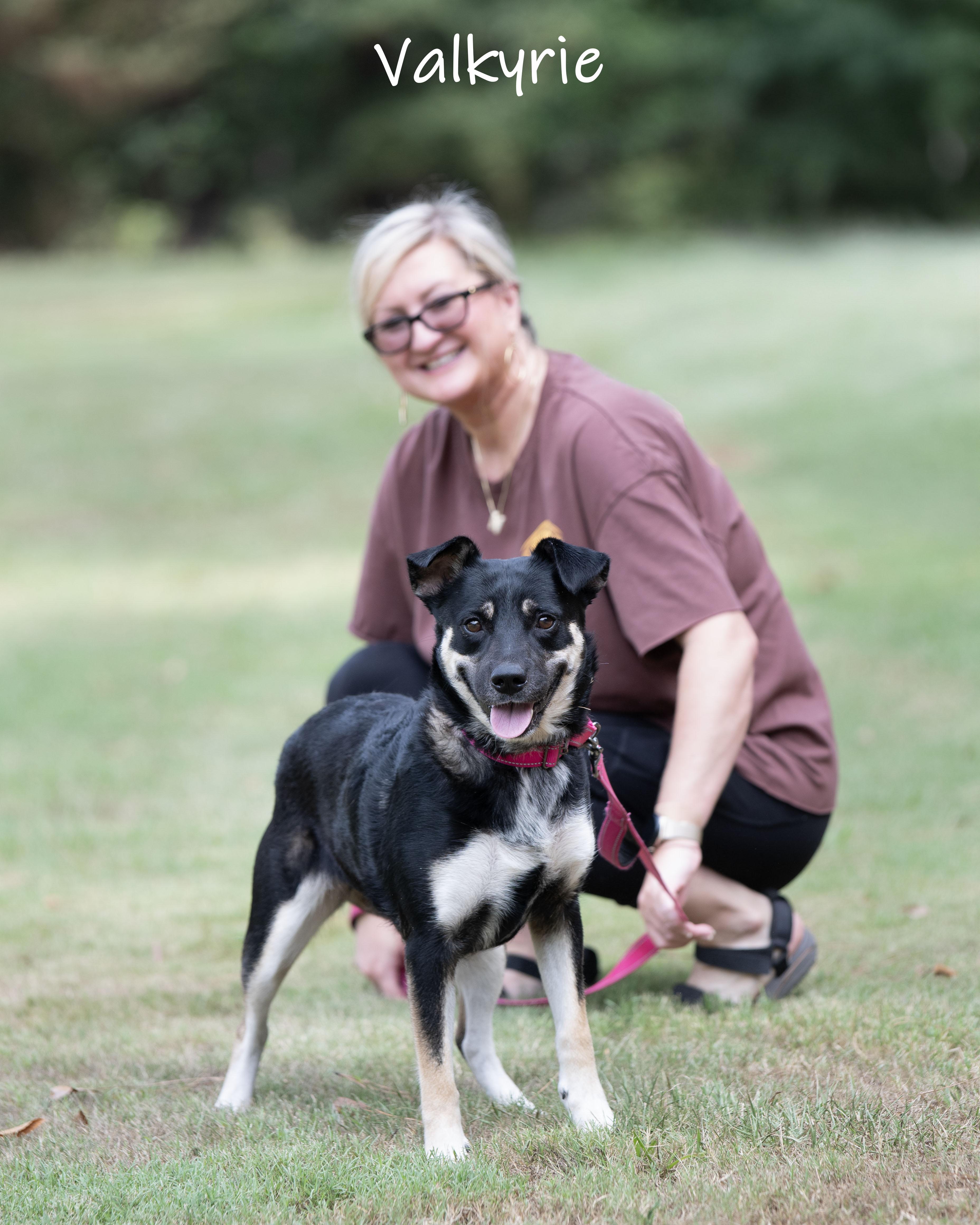 Enlarge Valkyrie, a ADOPTABLE mixed breed in Bishop, GA image 2/6