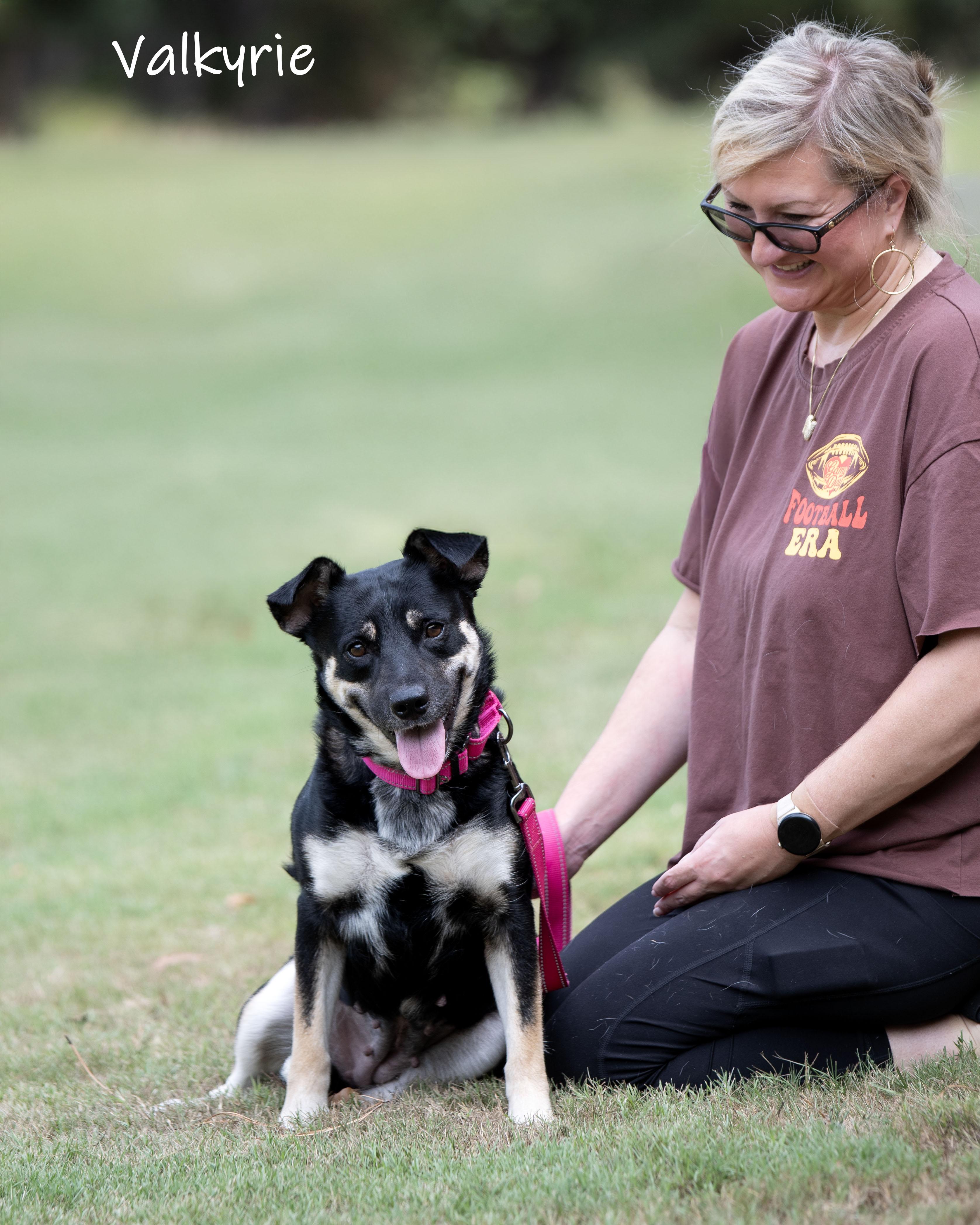 Enlarge Valkyrie, a ADOPTABLE mixed breed in Bishop, GA image 5/6