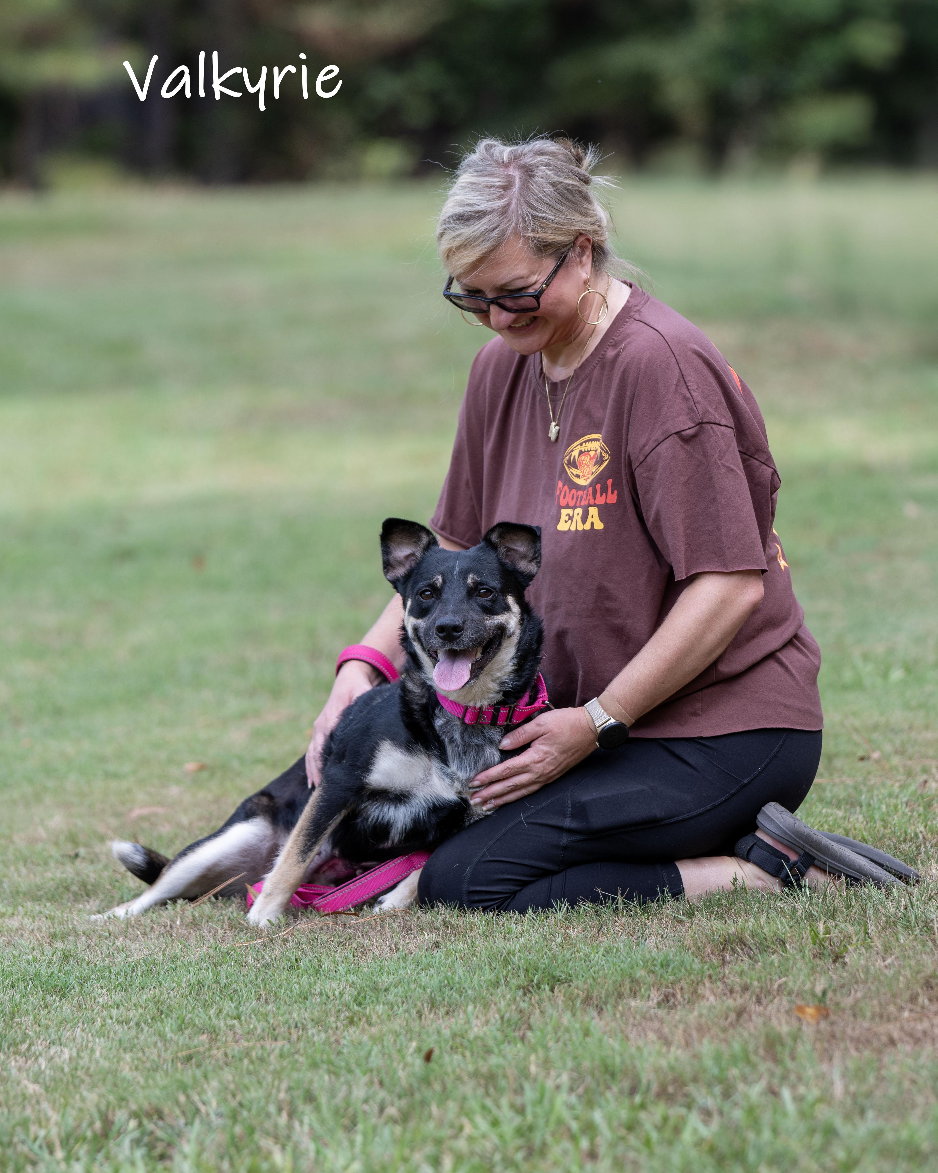 Enlarge Valkyrie, a ADOPTABLE mixed breed in Bishop, GA image 3/6