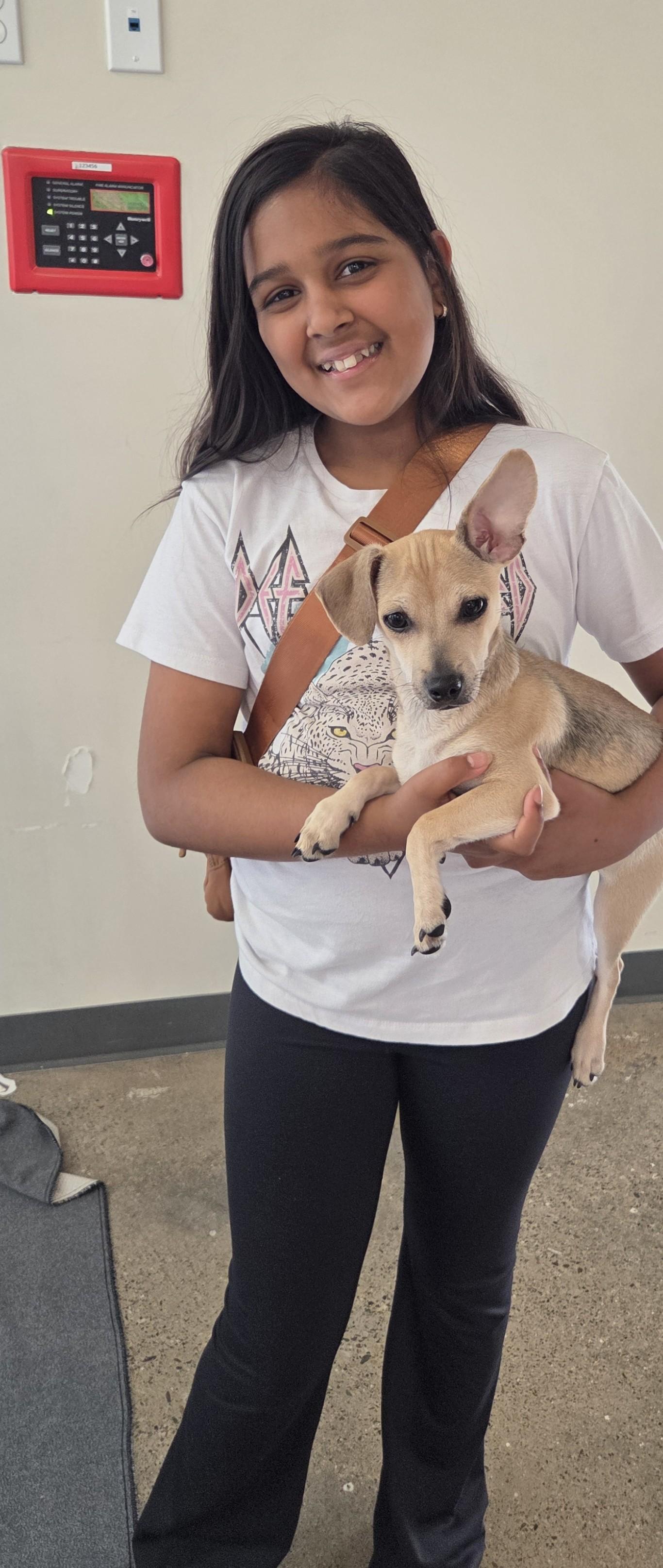 Dustin, a Adoptable mixed breed in Oakdale, CA image 2/2