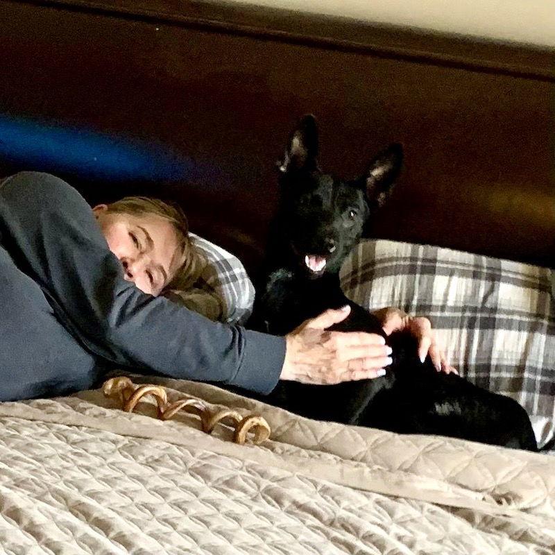 Mosey, a Adoptable mixed breed in San Juan Capistrano, CA image 3/3