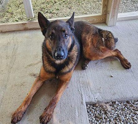 Opie photo 1