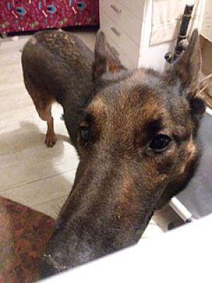 Opie photo 3