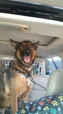 Opie photo 2