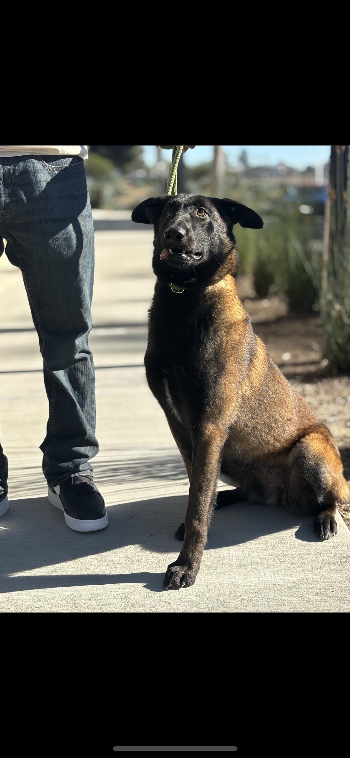 Penelope thumbnail 2