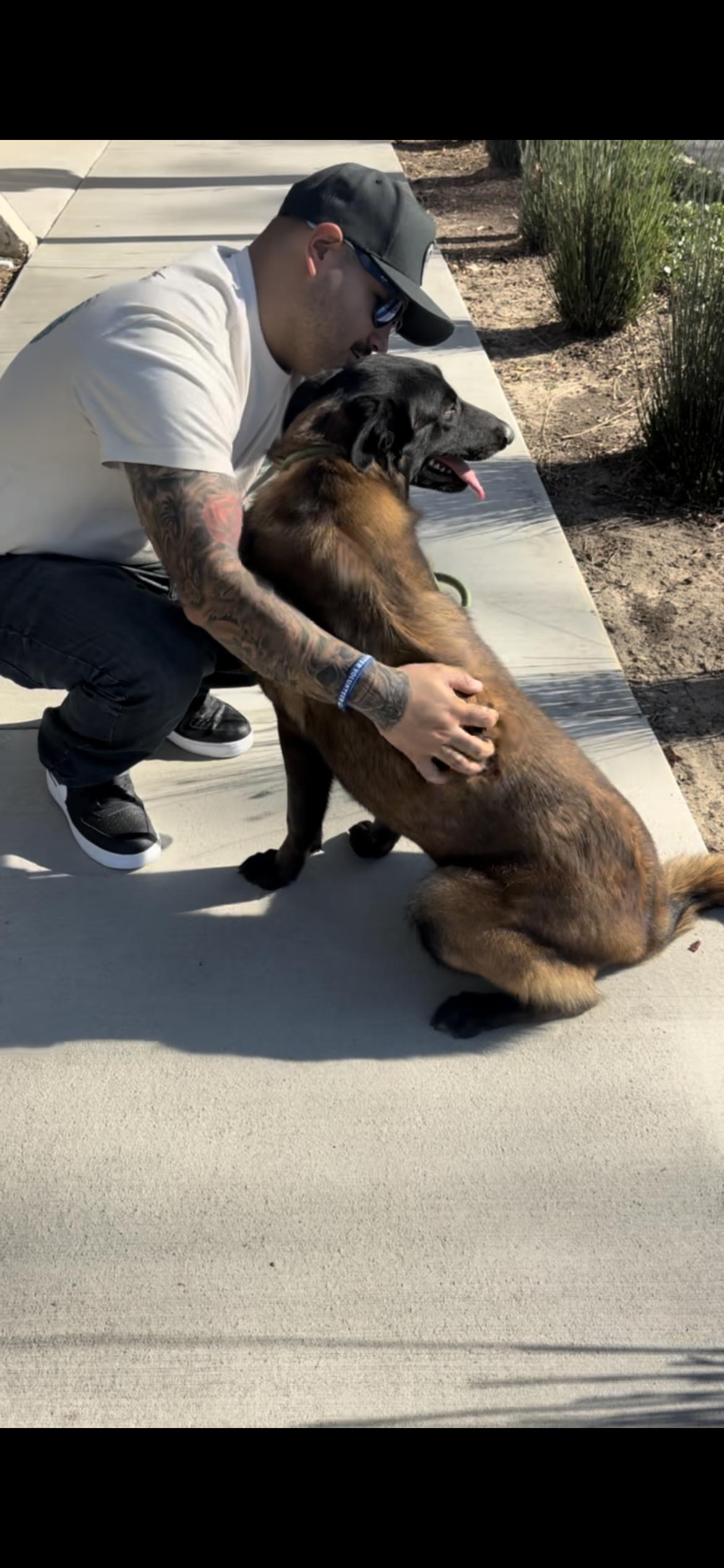 Enlarge Penelope , a ADOPTABLE mixed breed in Hamden, CT image 2/6