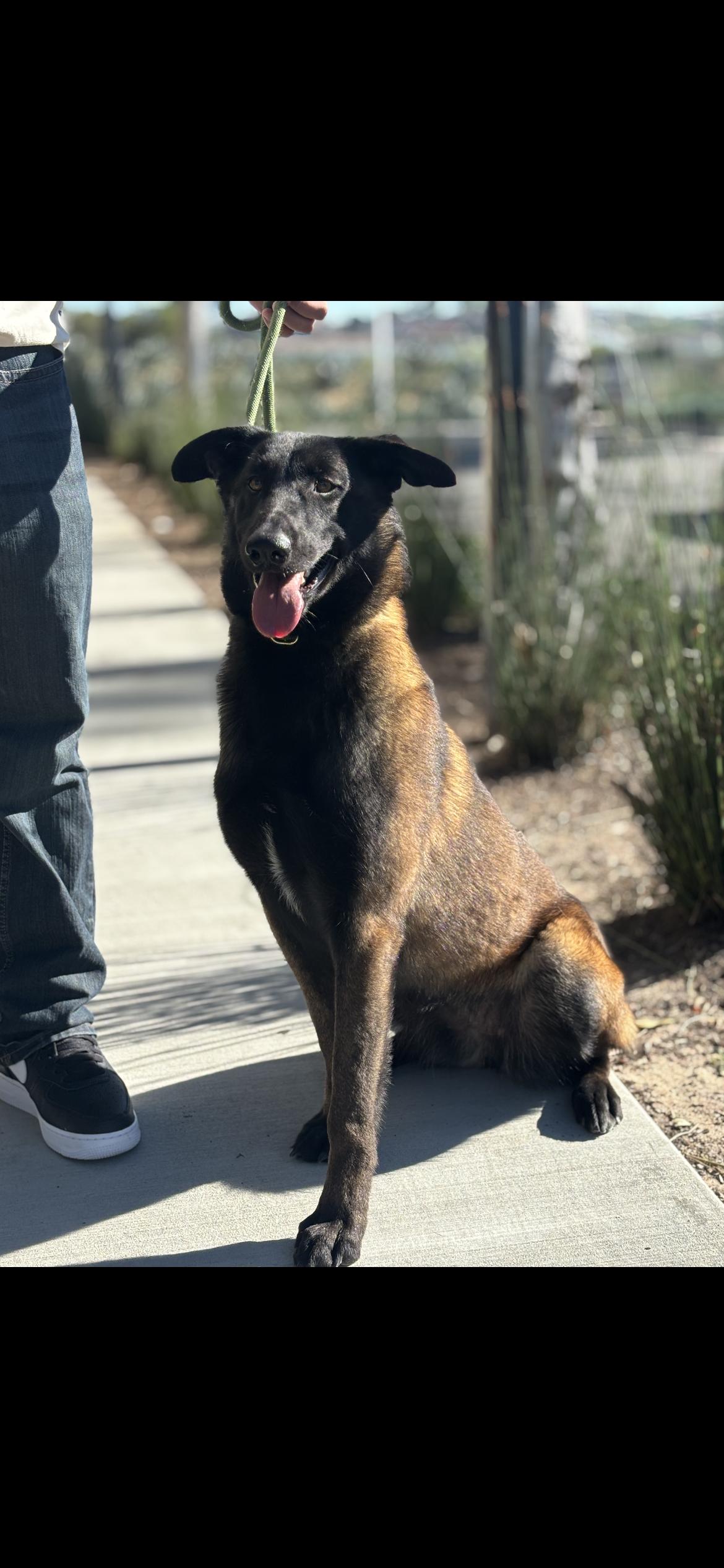 Penelope thumbnail 5