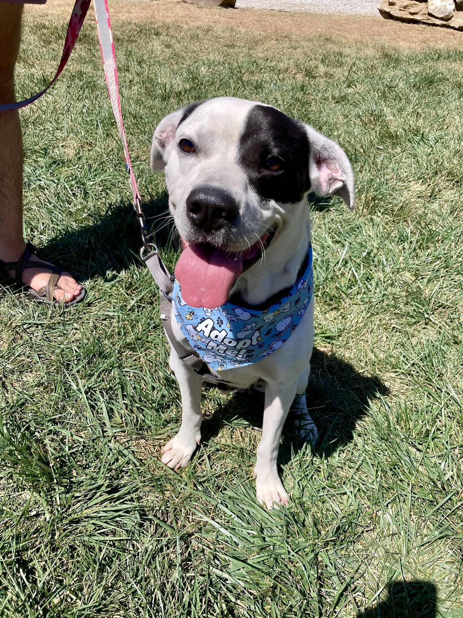 Milo