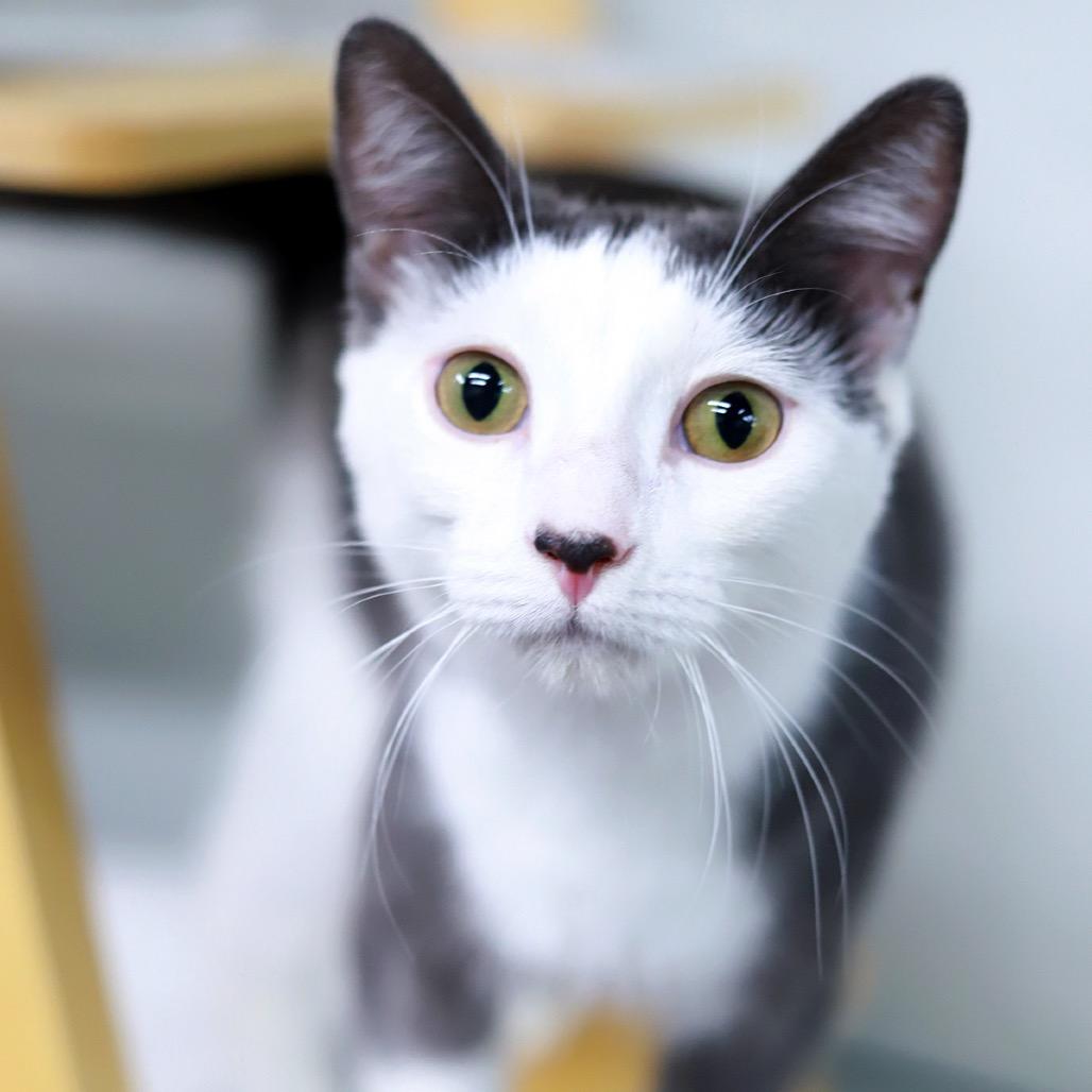 Ethan — thumbnail 2