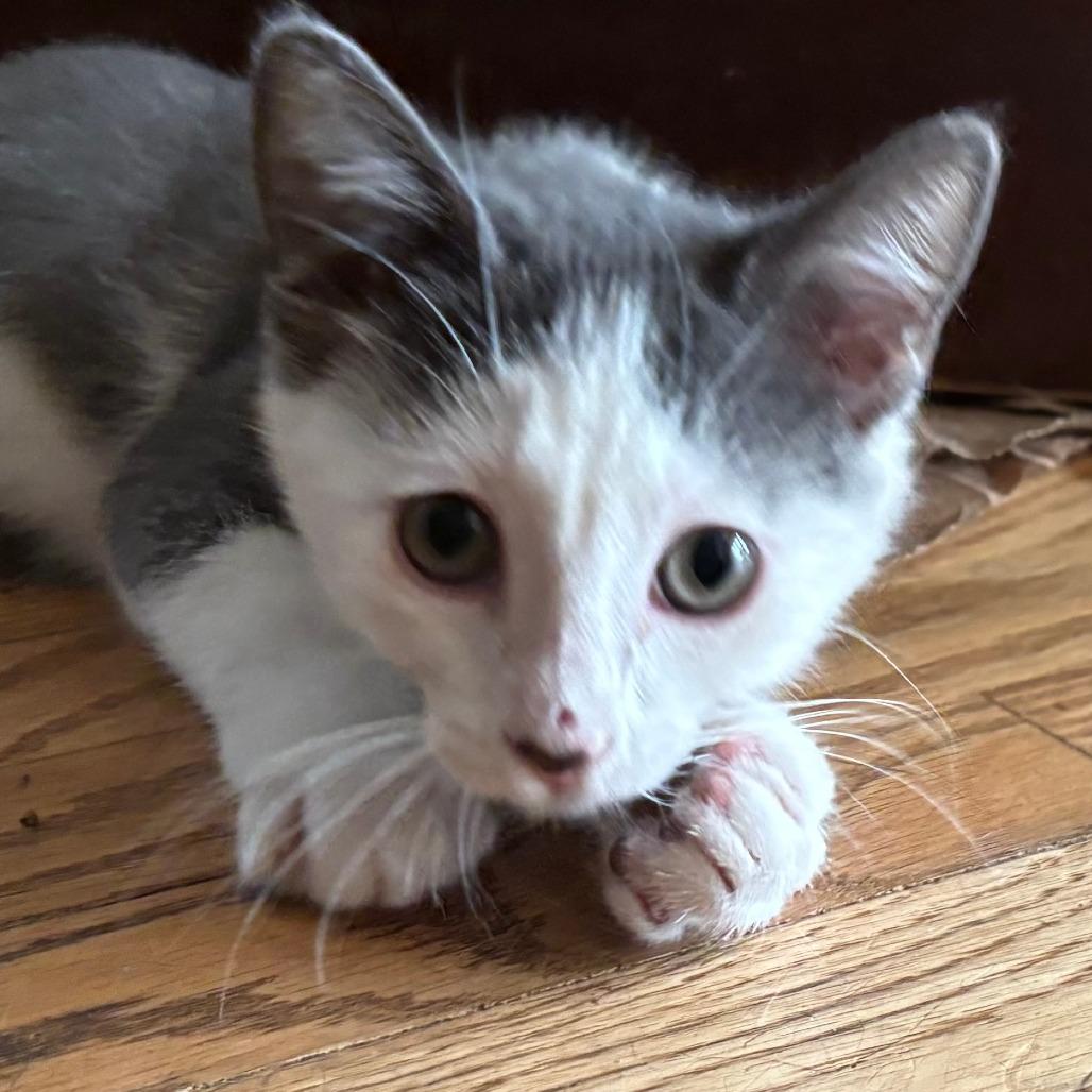 Ethan — thumbnail 3