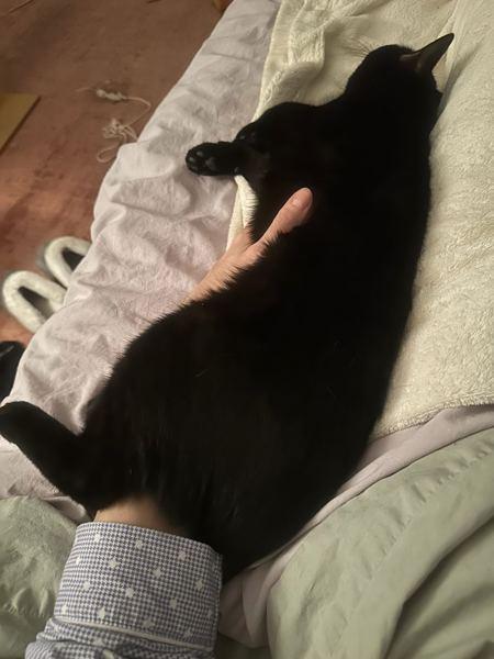 Cher — thumbnail 5