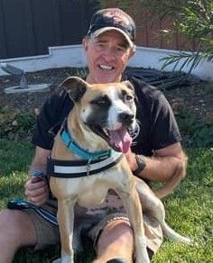 Enlarge Faye, a Adoptable mixed breed in Downers Grove, IL image 3/5