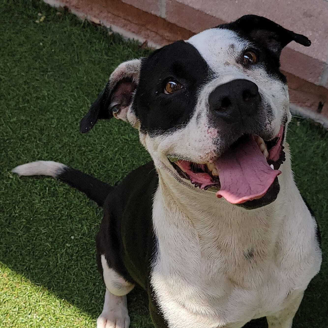 Laza — thumbnail 2