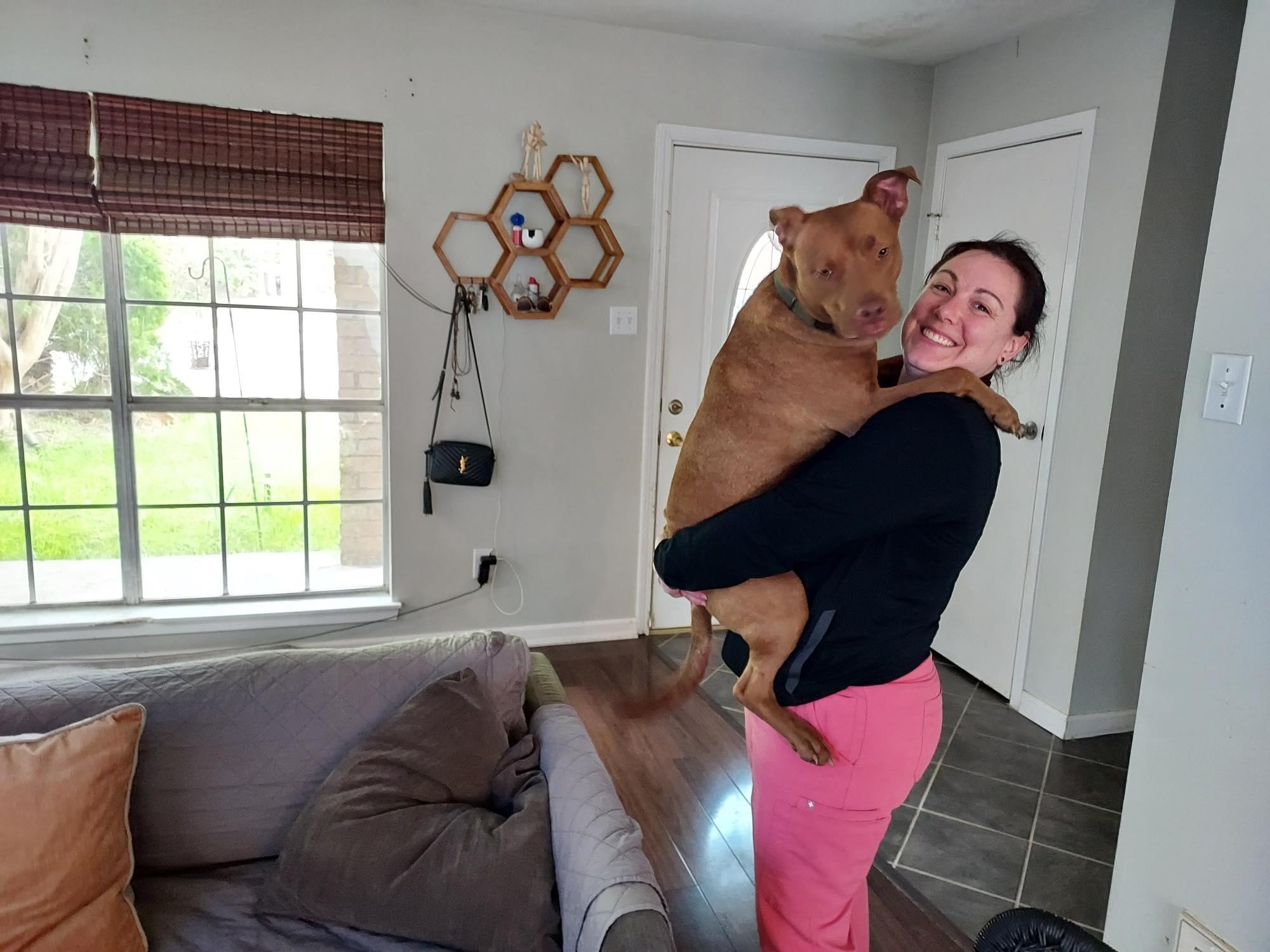 Rusty, a Adopted mixed breed in Des Moines, WA image 5/5