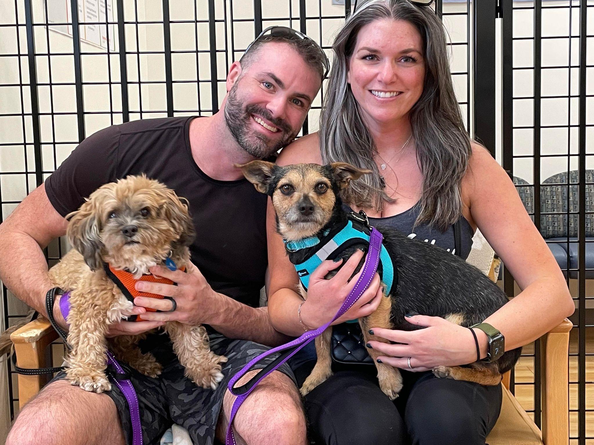 Enlarge Ruthie, a Adopted mixed breed in Gilbert , AZ image 4/6