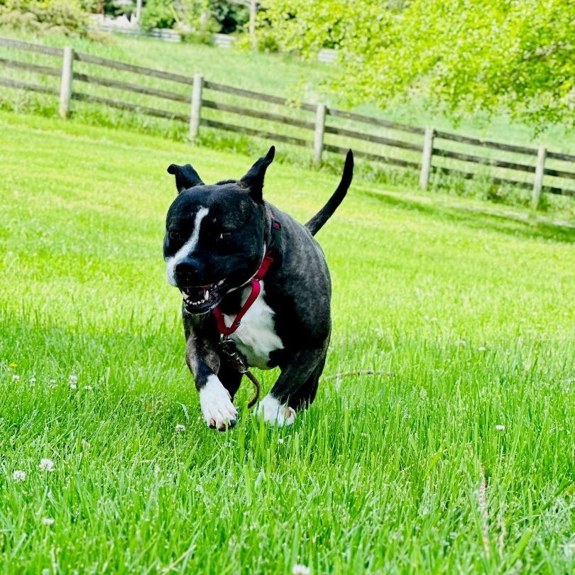 Rhonda photo 1