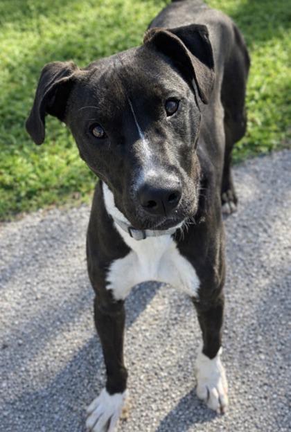 Captain Marvel — thumbnail 2