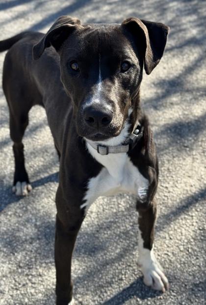 Captain Marvel — thumbnail 3